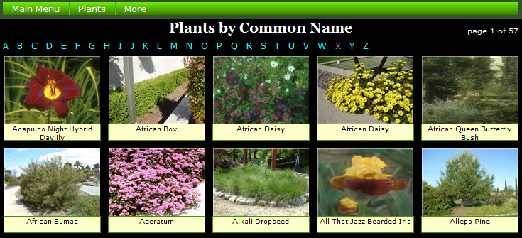 Plants by Common